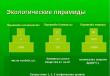 Пирамида биомасс, энергии, чисел Пирамида биомасс для водных экосистем