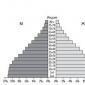 Возрастная структура населения Численность населения рф по полу и возрасту