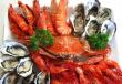 География поставок морепродуктов Сообщение на тему нерыбных продукты