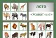 Didactic games for preschoolers on the topic: Animals