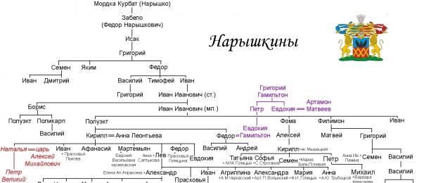 επώνυμο Naryshkin.  Η έννοια και η προέλευση του επωνύμου Naryshkin