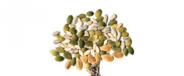 Funciones de los cotiledones del trigo.  La estructura de las semillas de monocotiledóneas y dicotiledóneas.
