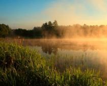 Dikter om naturen Poeter som skrev om naturen