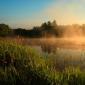 Poesie sulla natura Poeti che hanno scritto sulla natura