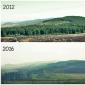 La Verkhovna Rada ha vietato la deforestazione nei Carpazi Ulteriori conseguenze della deforestazione