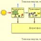Ekosystemkomponenter och deras funktioner