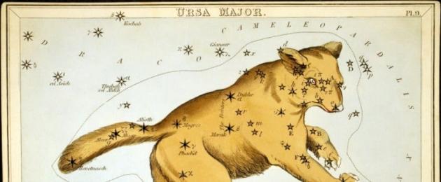 A star in the constellation Ursa.  Number of bright stars in the Ursa Major bucket