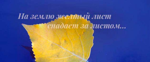 Пословицы про осень. Александр Пушкин — Осень: Стих Знаешь, как пахнут осенние листья