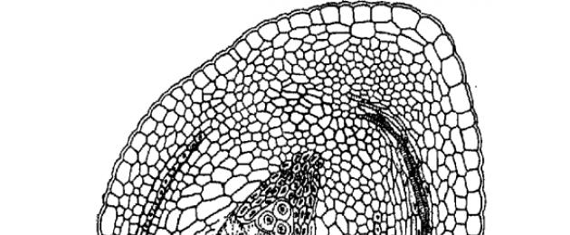 Δομή και ανάπτυξη του ωαρίου του φυτού.  Διακριτικά χαρακτηριστικά των ωαρίων των γυμνοσπερμών και των αγγειόσπερμων