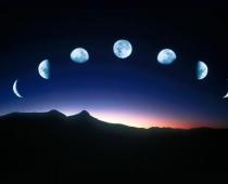 How many phases of the moon are there?