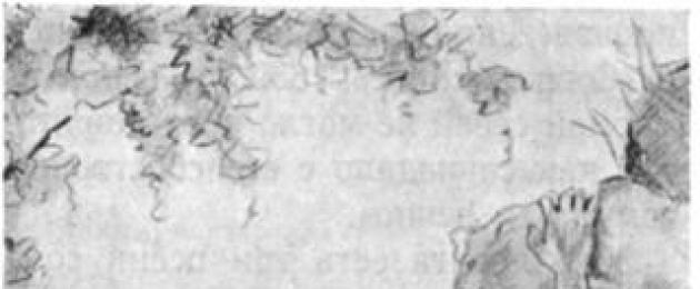 Wizerunek i charakterystyka Mtsyriego w wierszu „Mtsyri” Lermontowa: opis postaci w cudzysłowie.  Wizerunek Mtsyriego w wierszu Lermontowa pod tym samym tytułem (z cytatami) Charakterystyka cech osobistych