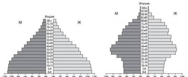La composición por edades de la población se refiere a la estructura por edades de la población.
