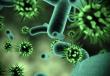 Storia della scoperta e metodi di ricerca sui virus